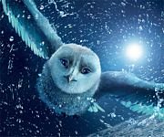 pic for Owl Flying With Water Drops 
